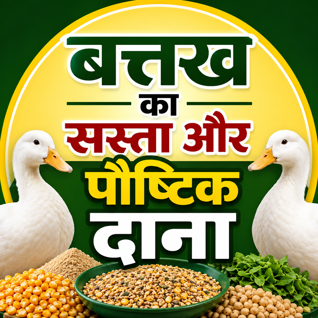 सस्ते और पौष्टिक बत्तख का दाना