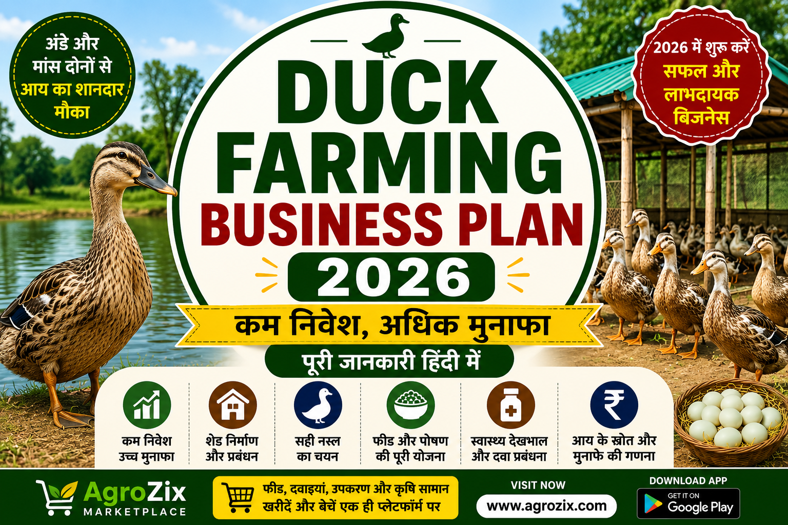 Duck farming business plan 2026