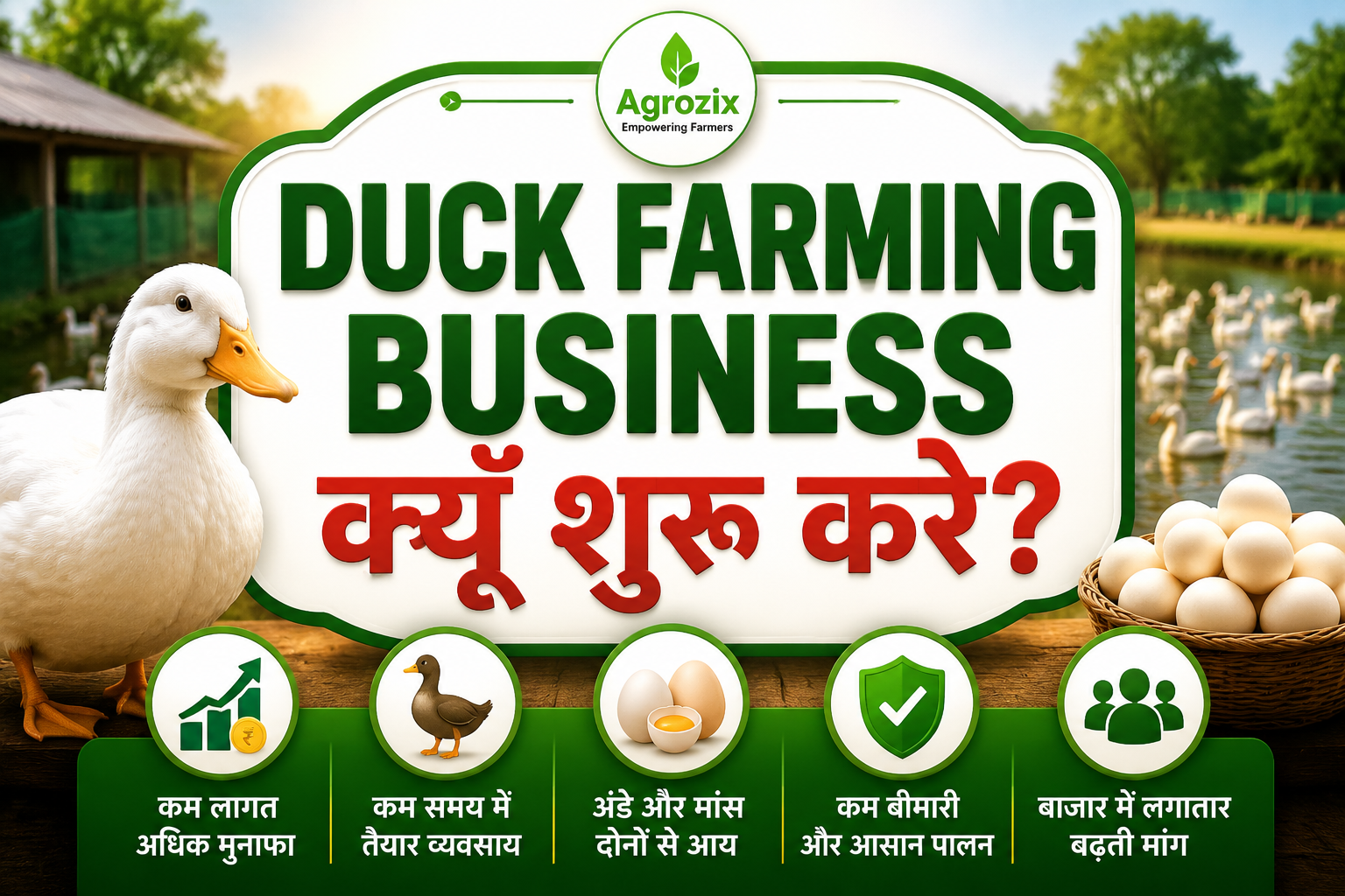 Duck Farming Business Kyun Shuru Karein